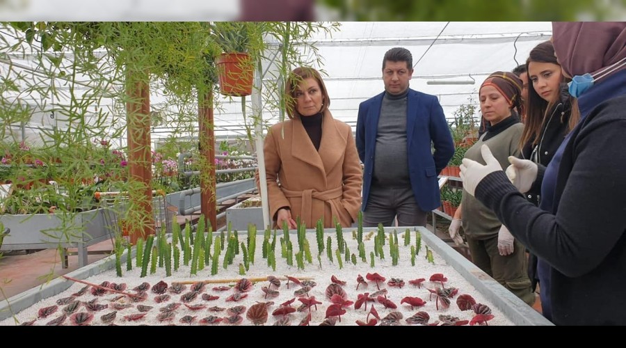 Başkan Köse’den Bolu Belediye Başkanı Özcan’a ziyaret