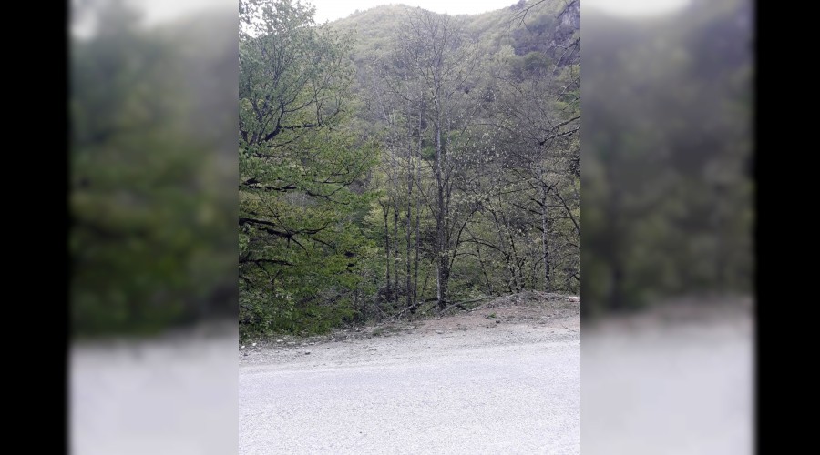 Kanyonda yrye kan ift kayboldu