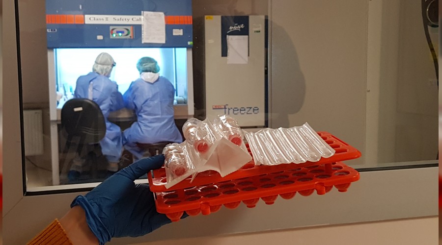 Karabük’te 5 günde 250 Korona virüs testi çalışması yapıldı