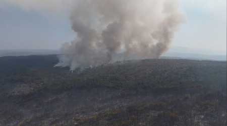 Orman yangn tek noktada etkisini srdryor