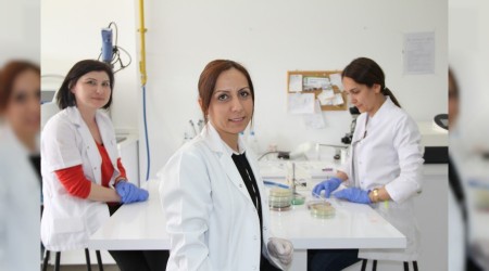 Virsle ilgili rahatlatan aklama