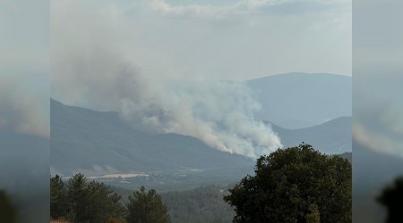 Karabk'te yeni orman yangn