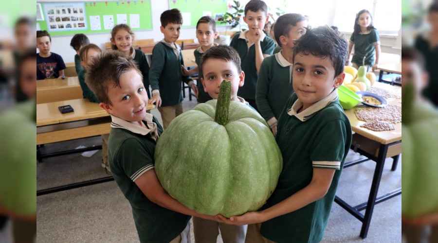 rencilerden 42 kiloluk bal kaba