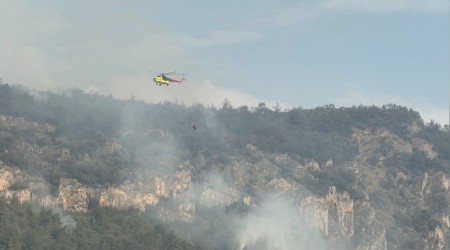 Orman yangn ksmi olarak kontrol altna alnd
