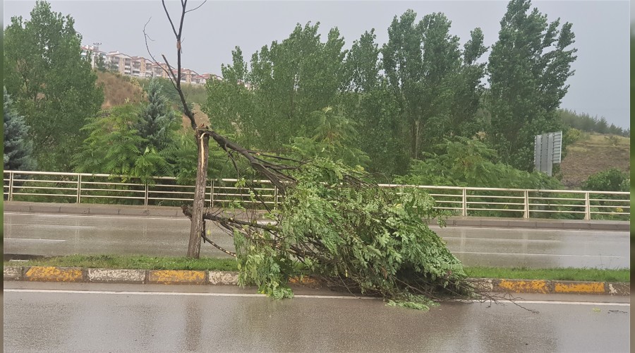 Aniden bastran yamur yollar dere yatana evirdi 