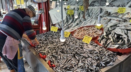 Balk tezgahlarnda hamsi bolluu: Kilosu 100 TL'ye kadar dt