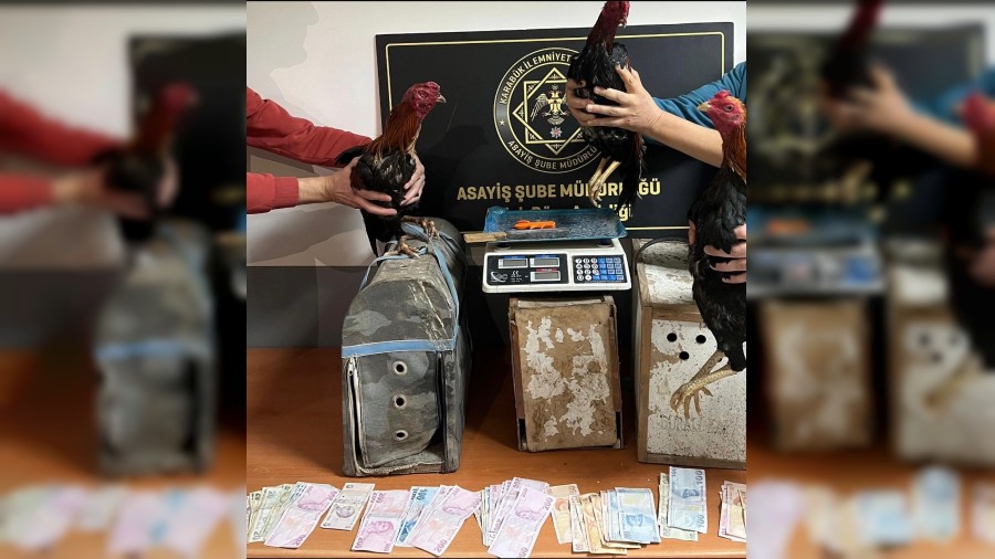 Asayiş uygulamalarında aranan 100 kişi yakalandı