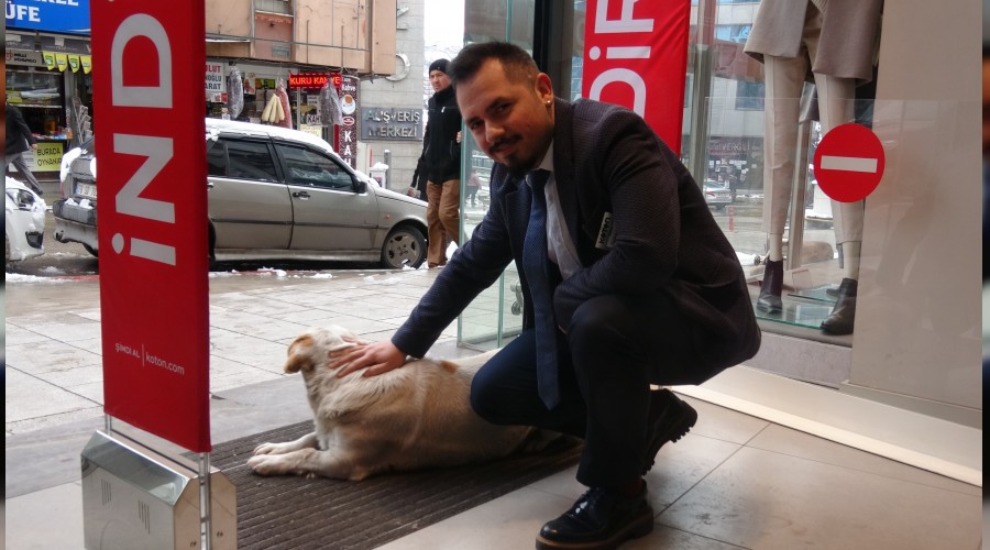 Soukta yen kpek maazann scak klimas altnda uyuya kald