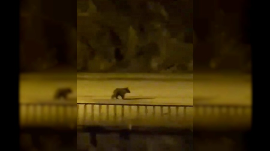 Yolunu aran yavru ay ile merkezine indi