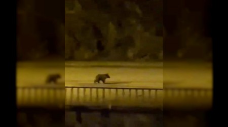 Yolunu aran yavru ay ile merkezine indi