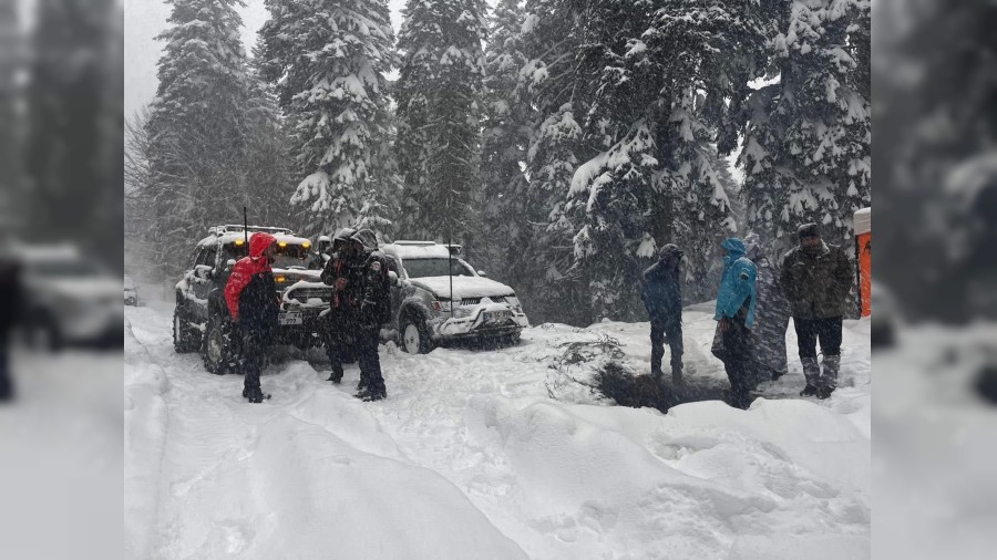 Karab�k�te yaylada mahsur kalan 7 ki�i kurtar�ld�