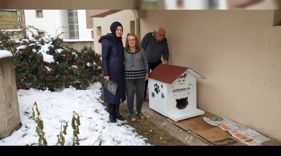 Tarihi kentte sokak hayvanlarna ev