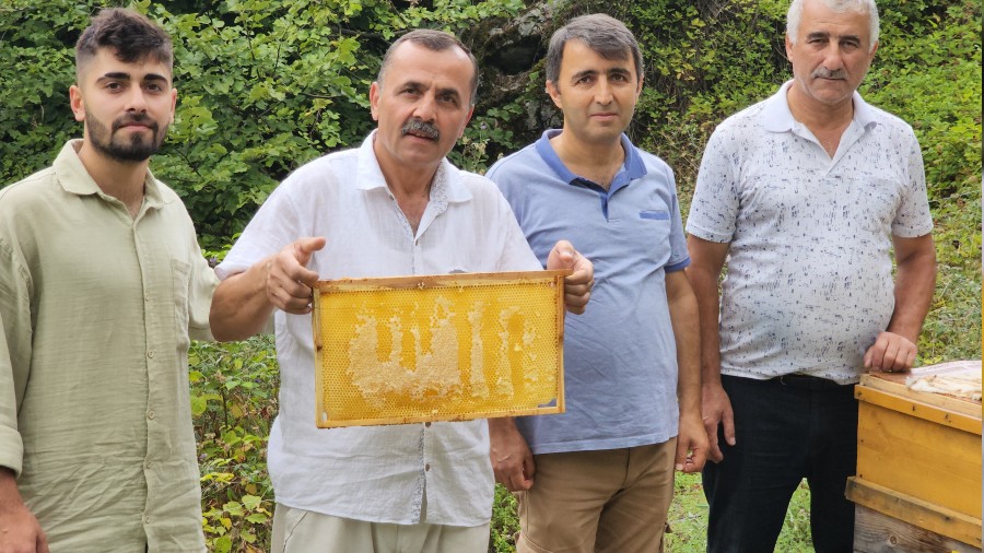Bal arlar petek zerinde Allah yazs oluturdu