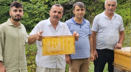 Bal arlar petek zerinde Allah yazs oluturdu