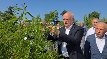 TZOB Genel Bakan Bayraktar, Karabkte zirai dondan etkilenen tarlalar inceledi